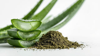 Aloe Vera  Extract Powder*