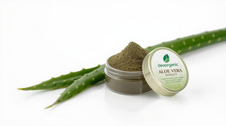Aloe Vera  Extract Powder*