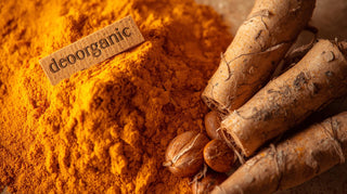 TURMERIC EXTRACT POWDER -INDIA