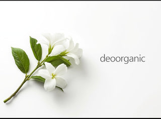 Midnight Jasmine Fragrance Oil*