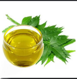 Neem Seed Extract -Extra Virgin