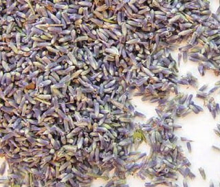 Lavender Buds-BLUE&#8221;