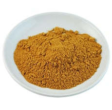 Green Tea Botanical Extract Powder
