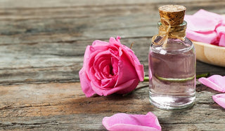 rose carrier oil